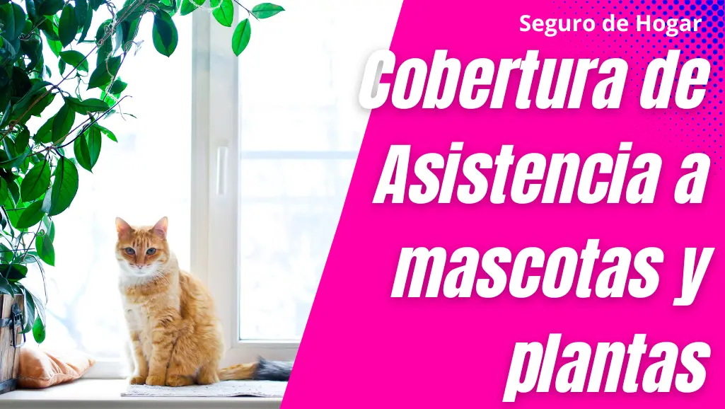 Seguro Allianz Hogar para cuidar de mascotas y plantas
